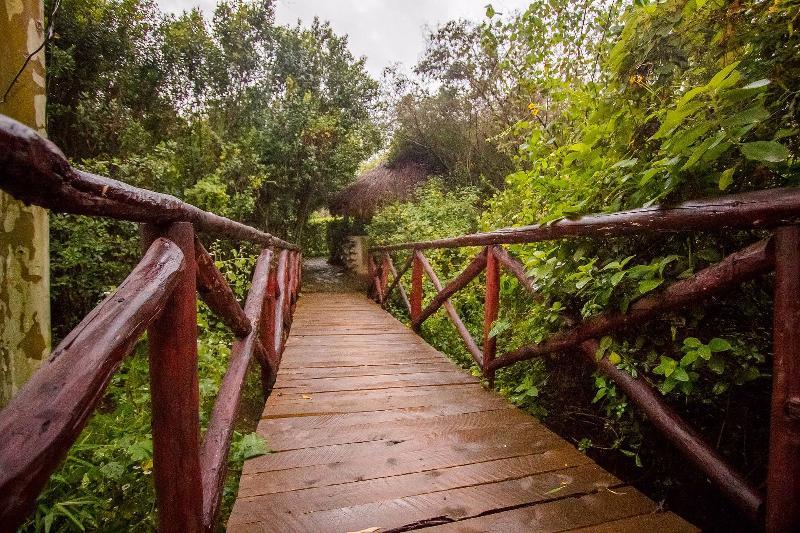 Dove Nest Lodge Naivasha Exteriér fotografie